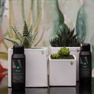 Desert CHOICE® Aloes, Haworthias & Co. 250ml - DesertSTORE.es