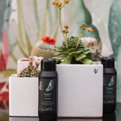 Desert CHOICE® Floración. 250ml - DesertSTORE.es