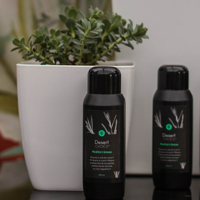 Desert CHOICE® Mediterráneas. 250ml - DesertSTORE.es