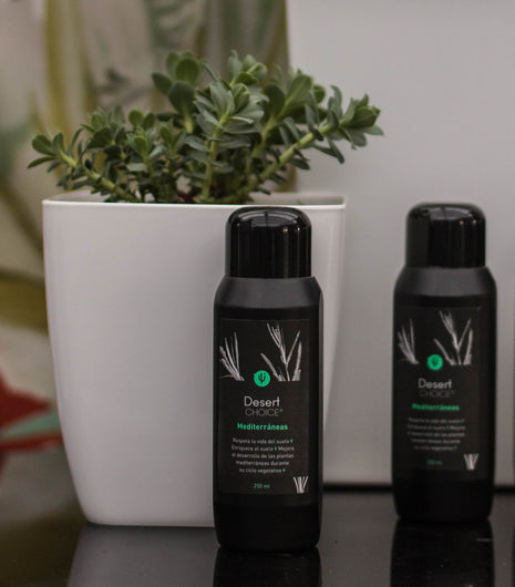Desert CHOICE® Mediterráneas. 250ml - DesertSTORE.es
