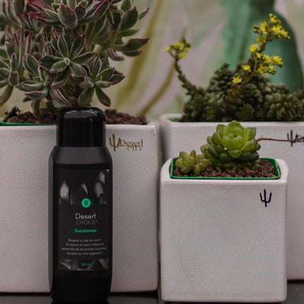 Desert CHOICE® Suculentas. 250ml - DesertSTORE.es