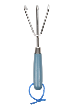 Hand rake (3 shades of blue)