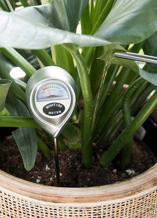 Hygrometer