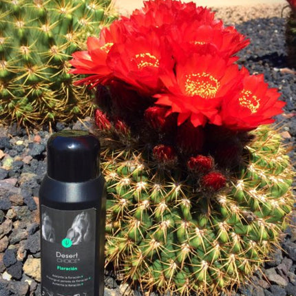 Desert CHOICE® Floración. 250ml - DesertSTORE.es