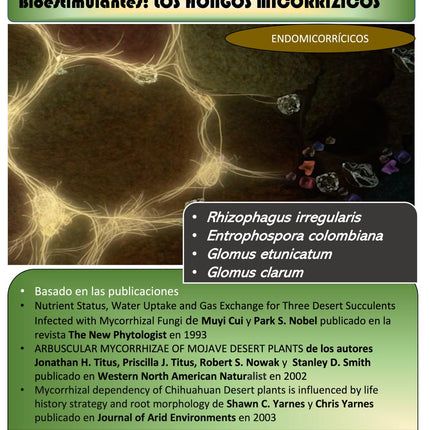 Desert BIN® Micorrizas 75g.