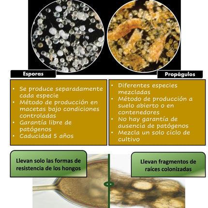 Desert BIN® Micorrizas 75g.