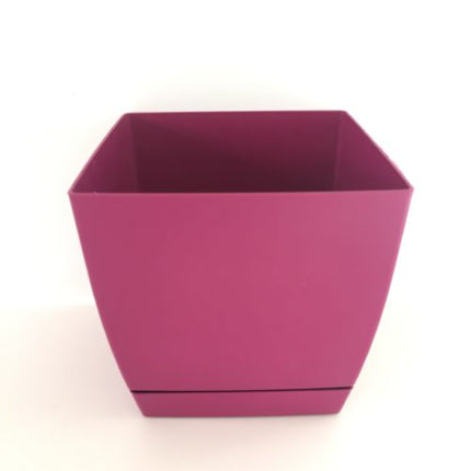 Maceta con plato DUKP - DesertSTORE.es