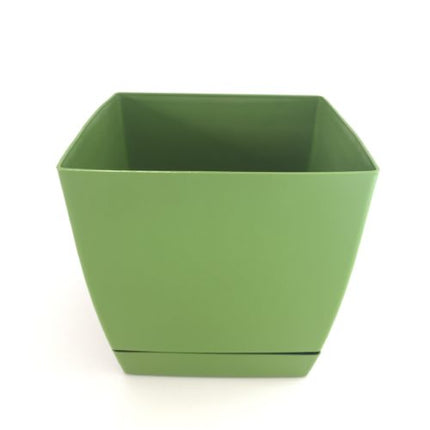 Maceta con plato DUKP - DesertSTORE.es