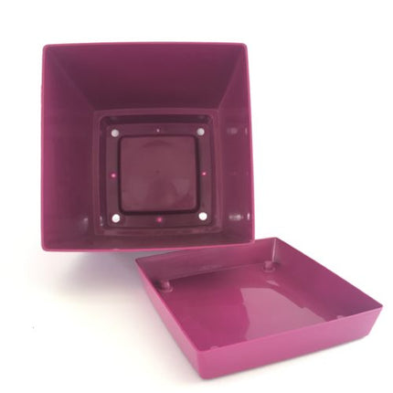 Maceta con plato DUKP - DesertSTORE.es