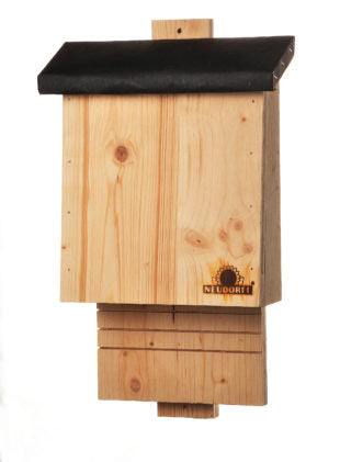 Hotel de Murciélagos. Neudorff. - DesertSTORE.es