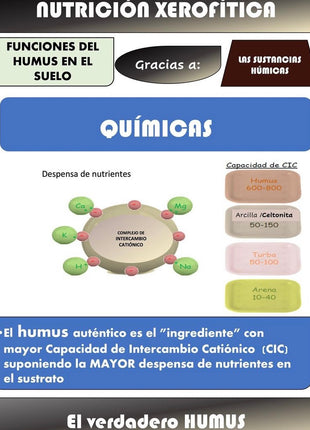 Desert CHOICE® Hummus. 250 ml