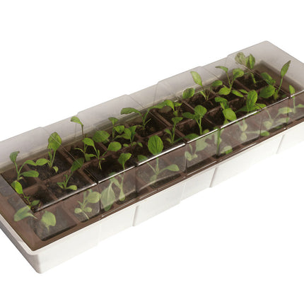 Semillero KIT WINDOWS 27 alveolos. NORTENE - DesertSTORE.es