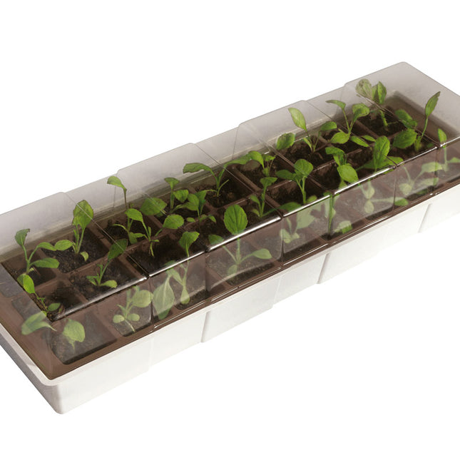 Semillero KIT WINDOWS 27 alveolos. NORTENE - DesertSTORE.es