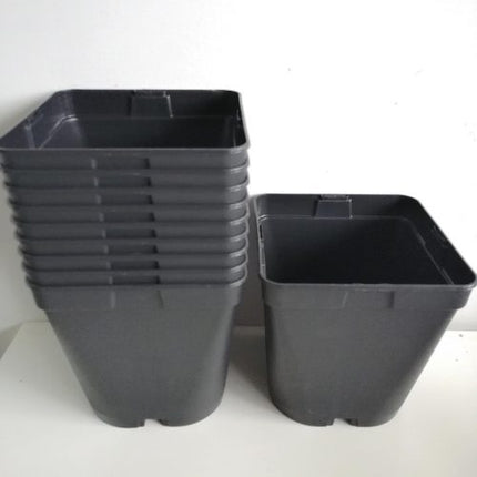 Macetas de Luxe by Desert CITY. Pack de 10 unidades.