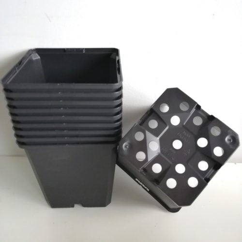 Macetas de Luxe by Desert CITY. Pack de 10 unidades.