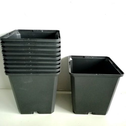 Macetas de Luxe by Desert CITY. Pack de 10 unidades.