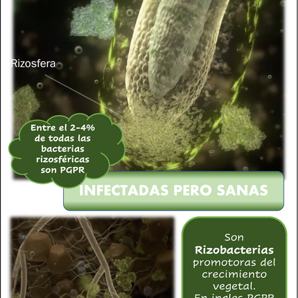 Desert BIN® Plus. 1kg - 5kg