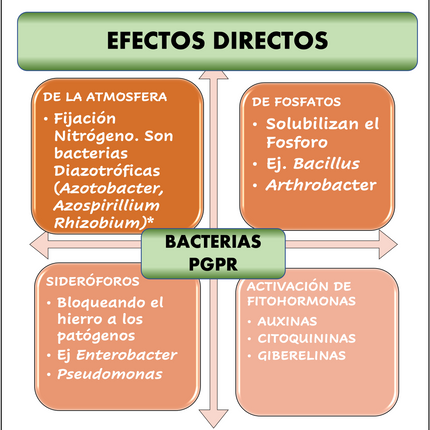 Desert BIN® Plus. 1kg - 5kg