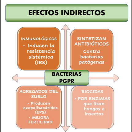 Desert BIN® Plus. 1kg - 5kg