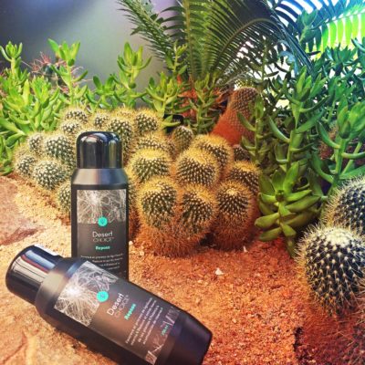 Desert CHOICE® Reposo. 250ml - DesertSTORE.es